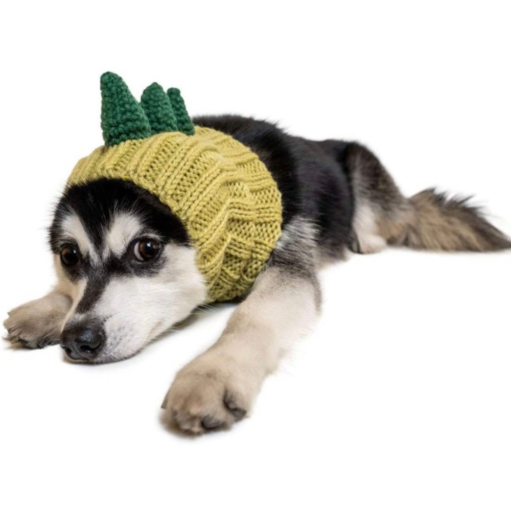 Dog Dinosaur Snood Costume NIB